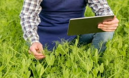 Crop health analysis in farming