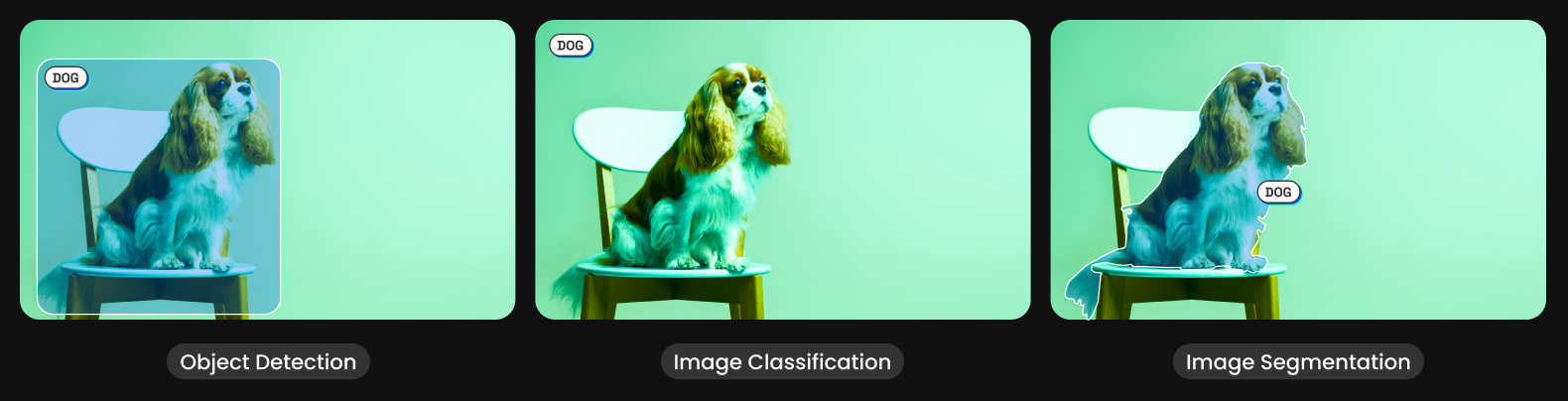 Understanding 3 subsets of image recognition with an image of a dog sitting on a chair.
