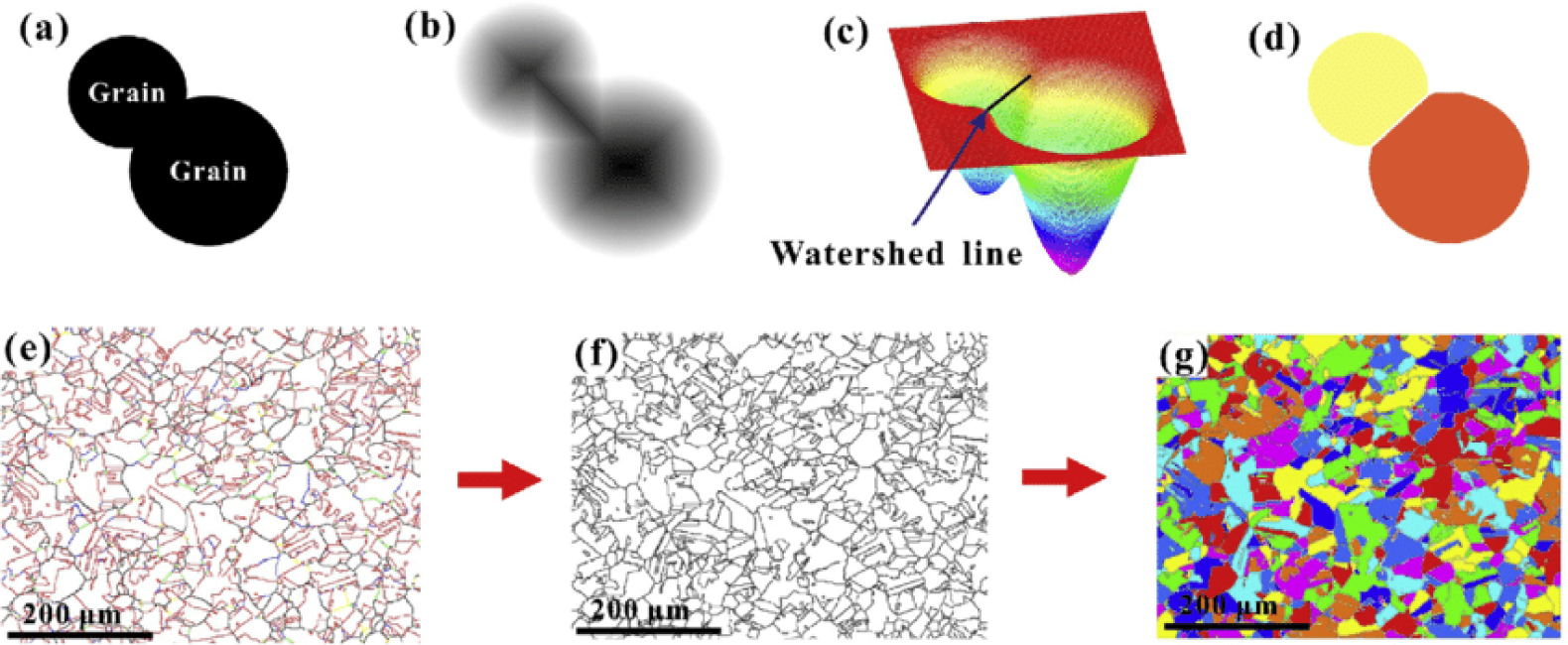 Discover Watershed Image Segmentation, a technique that uses watershed transform to separate objects and background in an image.