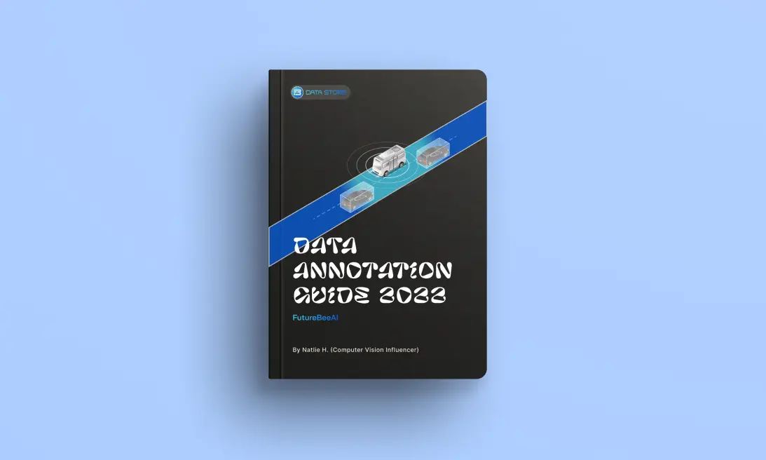 Video annotation guide by FutureBeeAI